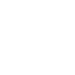 thm-professional