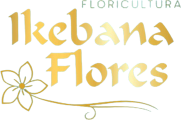 Ikebana Flores